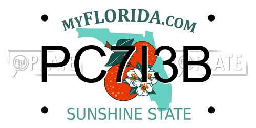 PC7I3B Florida License Plate