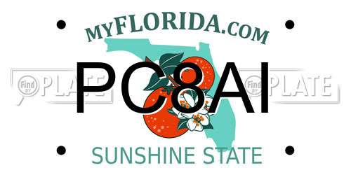 PC8AI Florida License Plate