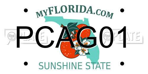PCAG01 Florida License Plate