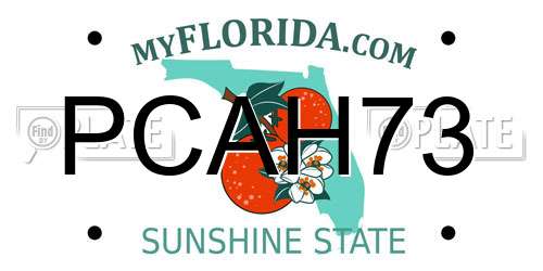 PCAH73 Florida License Plate