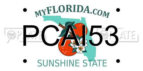PCAI53 Florida License Plate