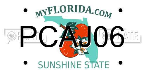 PCAJ06 Florida License Plate