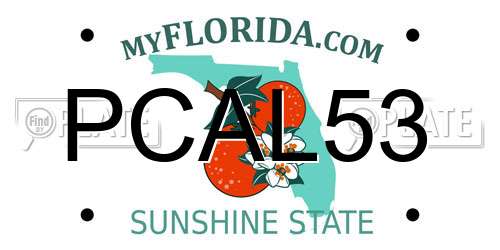 PCAL53 Florida License Plate