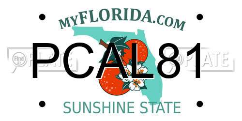 PCAL81 Florida License Plate