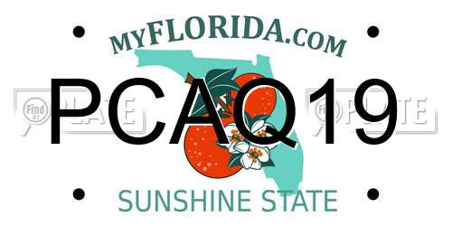 PCAQ19 Florida License Plate