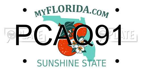 PCAQ91 Florida License Plate