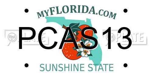 PCAS13 Florida License Plate