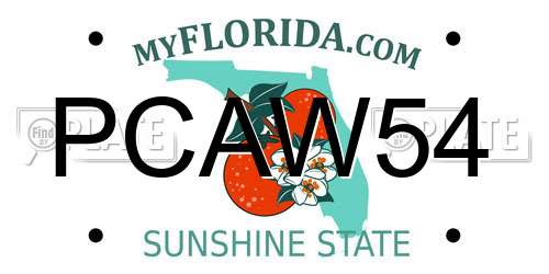 PCAW54 Florida License Plate
