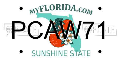 PCAW71 Florida License Plate