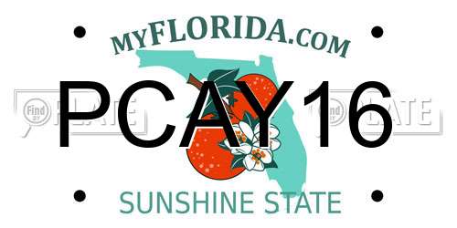 PCAY16 Florida License Plate