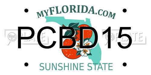 PCBD15 Florida License Plate