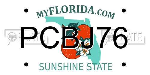 PCBJ76 Florida License Plate