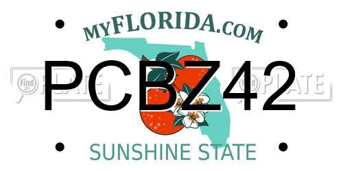 PCBZ42 Florida License Plate