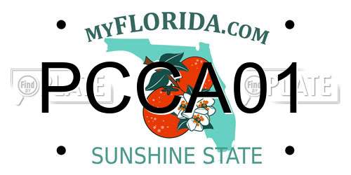 PCCA01 Florida License Plate