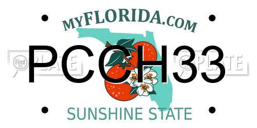 PCCH33 Florida License Plate