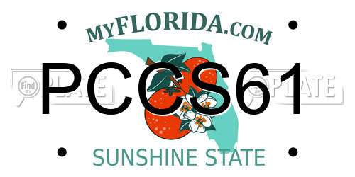 PCCS61 Florida License Plate