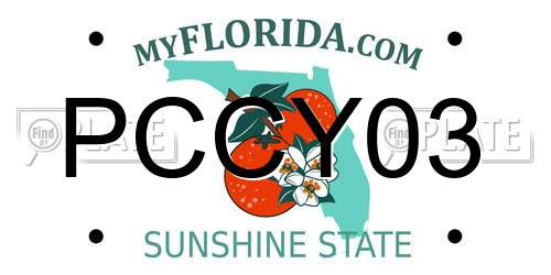 PCCY03 Florida License Plate