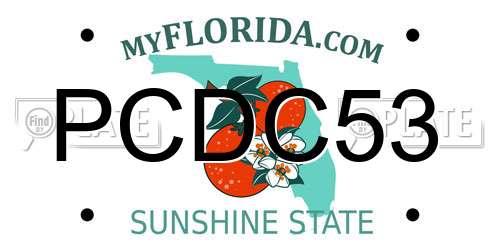 PCDC53 Florida License Plate