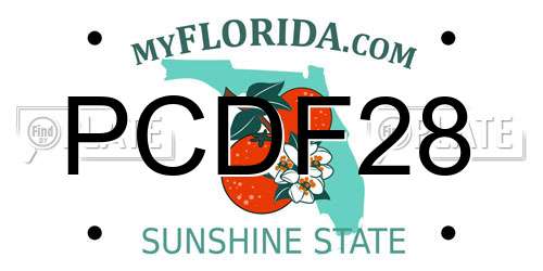 PCDF28 Florida License Plate