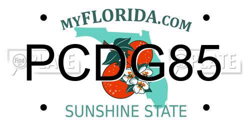 PCDG85 Florida License Plate