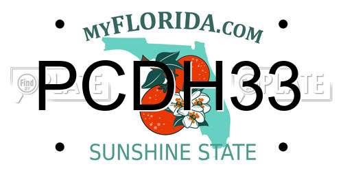 PCDH33 Florida License Plate