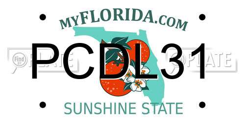 PCDL31 Florida License Plate
