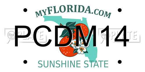 PCDM14 Florida License Plate