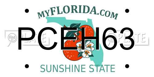 PCEH63 Florida License Plate
