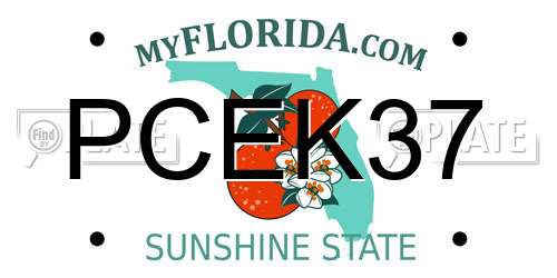 PCEK37 Florida License Plate
