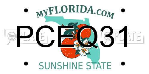 PCEQ31 Florida License Plate