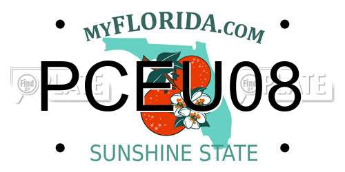 PCEU08 Florida License Plate