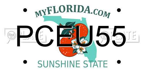 PCEU55 Florida License Plate