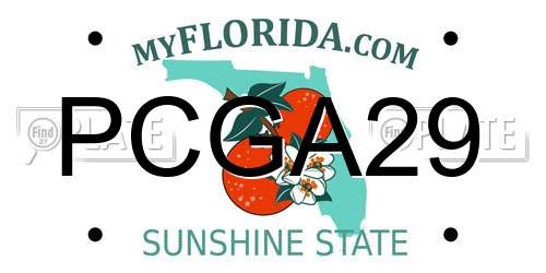 PCGA29 Florida License Plate