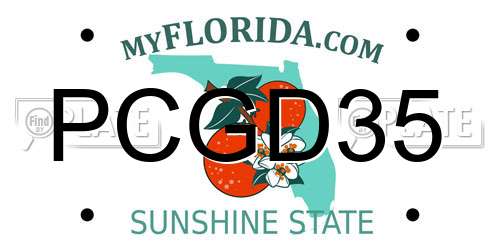 PCGD35 Florida License Plate
