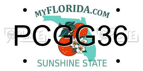 PCGG36 Florida License Plate