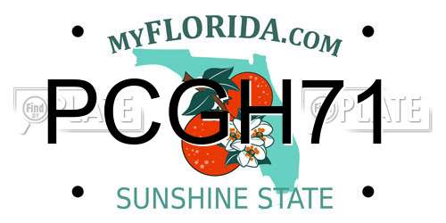 PCGH71 Florida License Plate