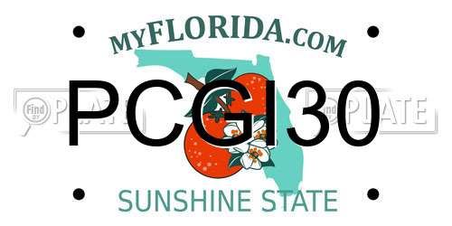 PCGI30 Florida License Plate