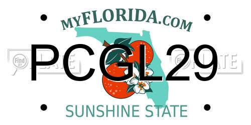 PCGL29 Florida License Plate
