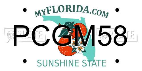 PCGM58 Florida License Plate