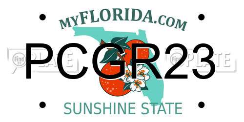 PCGR23 Florida License Plate