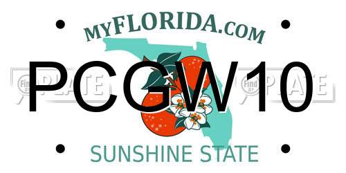 PCGW10 Florida License Plate
