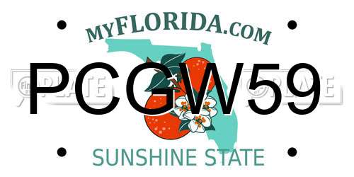PCGW59 Florida License Plate