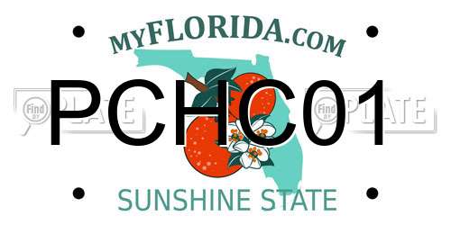 PCHC01 Florida License Plate