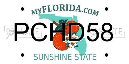 PCHD58 Florida License Plate