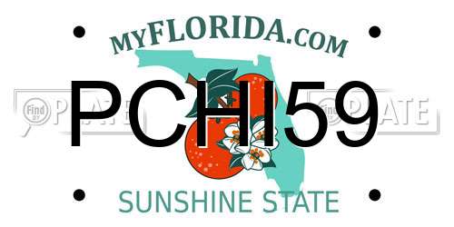 PCHI59 Florida License Plate