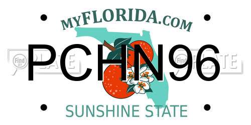 PCHN96 Florida License Plate
