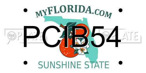 PCIB54 Florida License Plate