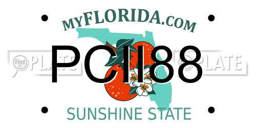 PCII88 Florida License Plate