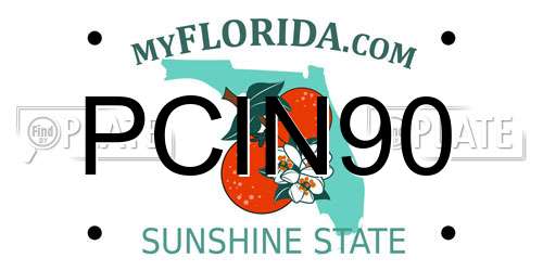 PCIN90 Florida License Plate