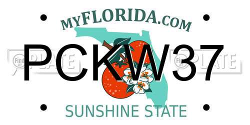 PCKW37 Florida License Plate